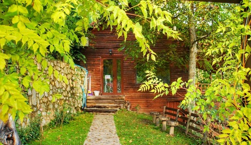Gallery Tree House