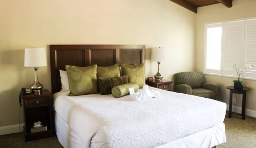 Standard Room, 1 King Bed, Accessible