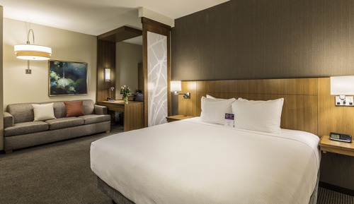Room, 1 King Bed with Sofa bed (High Floor)