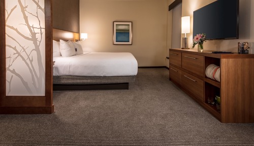 Room, 1 King Bed with Sofa bed, Accessible, Bathtub
