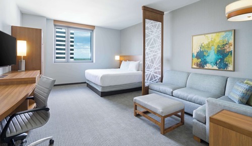 Suite, 1 King Bed with Sofa bed (1 Bedroom)