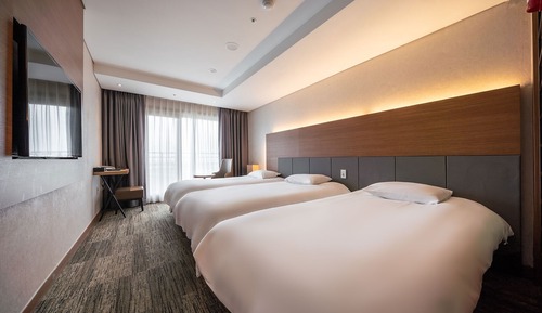 Deluxe Triple Room City View (3 Single Beds)
