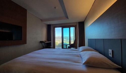 Deluxe King Room Ocean View (1 King Bed)