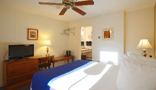 Standard Room, 1 Queen Bed, Refrigerator, Ground Floor