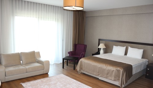 Superior Room, 1 King Bed