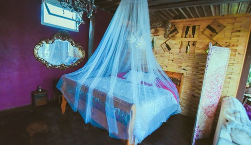 Studio, 1 King Bed