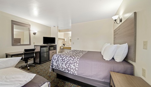 Room, Multiple Beds