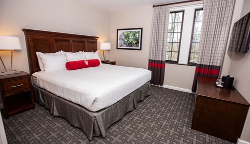 Junior Suite, 1 King Bed with Sofa bed, Non Smoking
