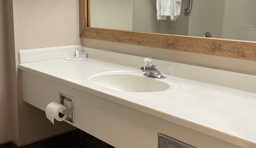 Room, 1 King Bed, Non Smoking (Pet-Friendly)
