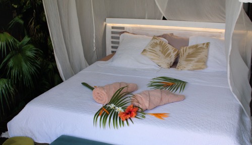 Signature Cabin, Pool View (Cabanon Jungle Paradise)