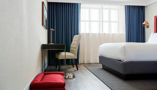 Room, 1 King Bed (Mobility/Hearing Access, Roll-In Shwr)