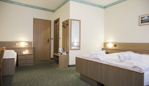 Basic Triple Room