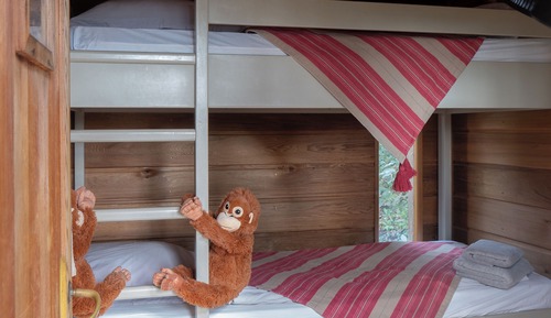 Family Tree House, 2 Bedrooms (King Louie & Mowgli)