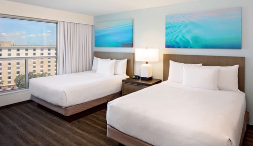 Suite, 1 Bedroom, Kitchen (2 Queen Beds with Sofa Bed, Specialty)