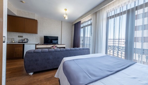 Deluxe Studio Suite (1 + 0)