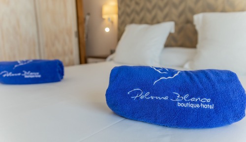Double or Twin Room, Pool View (Plus)