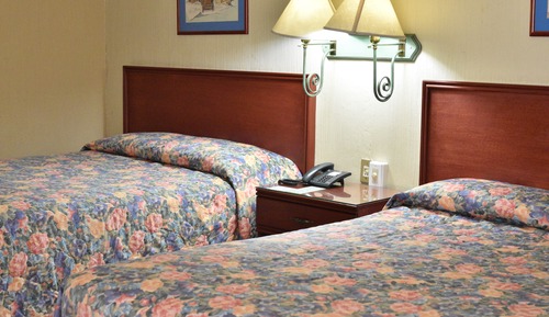 Basic Double Room