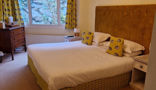 Double Room, 1 King Bed