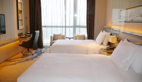 Executive Twin Room