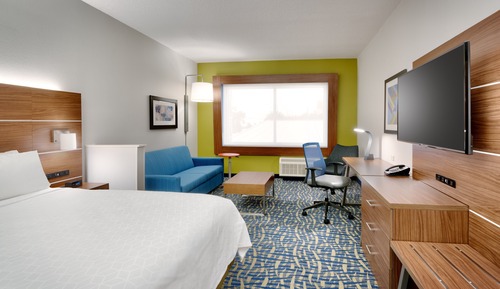 Suite, 1 King Bed with Sofa bed