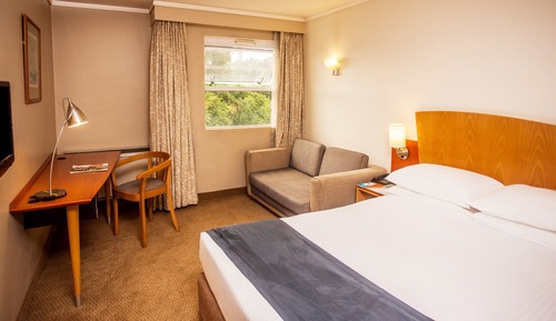 Standard Double Room with Sleeper Couch