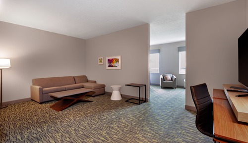 Premium Room, 1 King Bed with Sofa bed (Roll-In Shower)