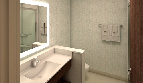 Standard Room, 1 King Bed, Accessible Bathtub (Accessible Tub)