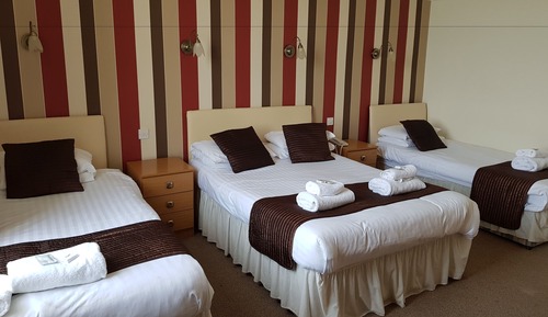 Family Room, Multiple Beds