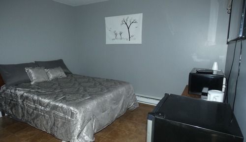 Basic Room, 1 Double Bed