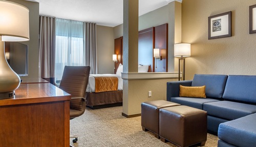 Suite, 1 King Bed with Sofa bed, Accessible, Non Smoking