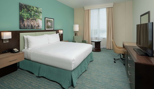 Suite, 1 King Bed