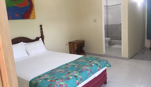 Basic Single Room, 1 Double Bed, Non Smoking
