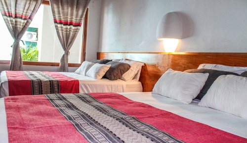 Standard Double Room, 2 Double Beds, Garden View