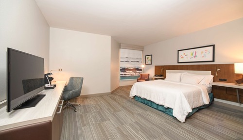 Room, 1 King Bed, Accessible (3x3 Shower)