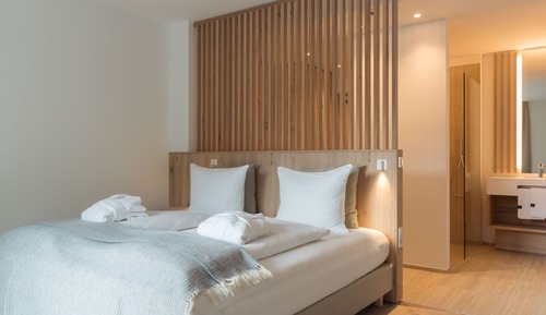 Basic Double Room, 1 King Bed