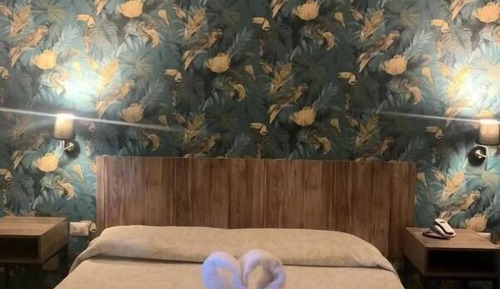 Classic Double or Twin Room