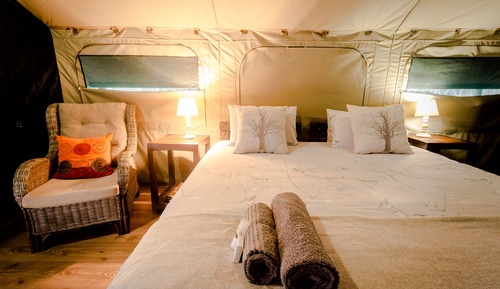 Tent, 1 Bedroom