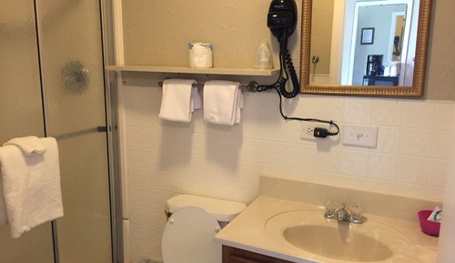 Business Single Room, Multiple Beds, Refrigerator & Microwave, Garden Area