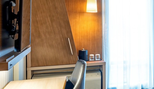 Standard Room, 1 King Bed with Sofa bed (Mobility Accessible, Roll-In Shower)
