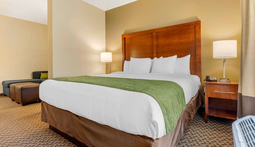 Suite, 1 King Bed with Sofa bed, Accessible, Non Smoking