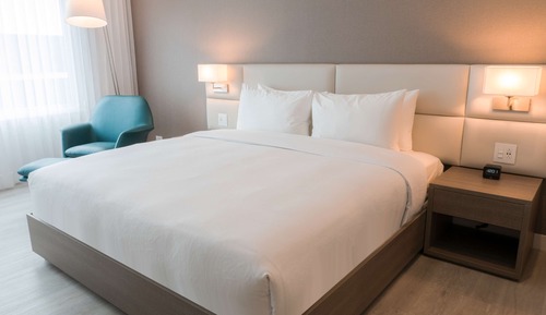 Room, 1 King Bed