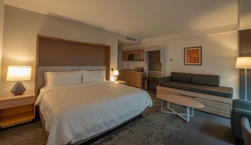 Suite, 1 King Bed (Minifridge)