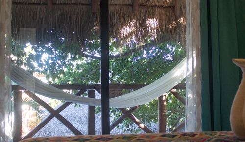 Superior Room, Pool View