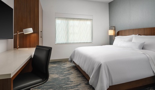 Family Studio Suite, Multiple Beds