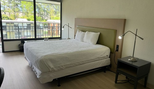 Deluxe Single Room, 1 King Bed