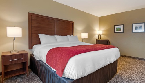 Standard Room, 1 King Bed, Non Smoking