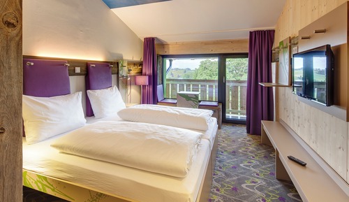 Economy Double Room, Mountain View