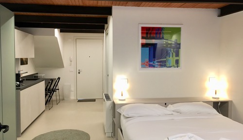 Design Apartment, 1 Queen Bed (1)
