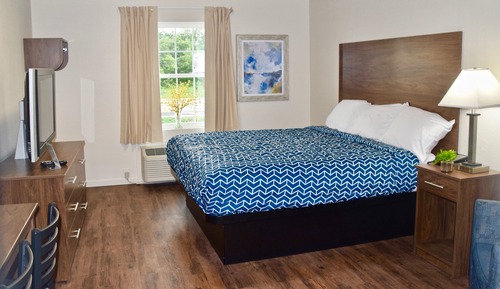 Single Room, 1 King Bed