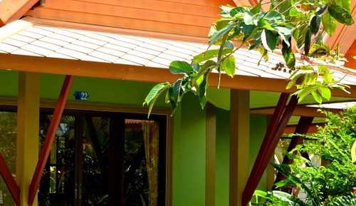 Room, Garden View